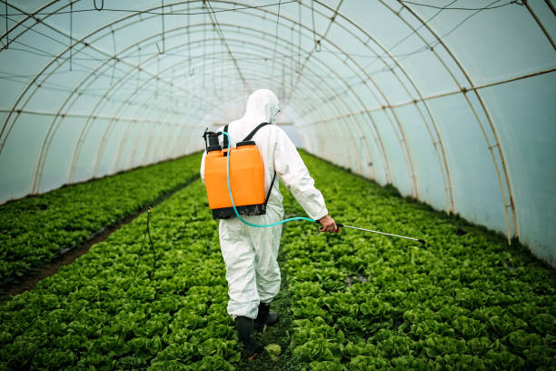 Best Pest Inspection Near Me  in Sanger, TX