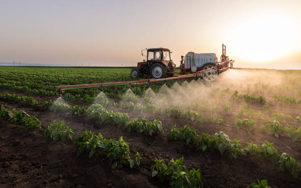 Trusted Sanger, TX Pest Control Experts