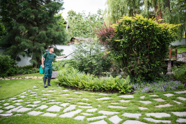 Best Residential Pest Control  in Sanger, TX