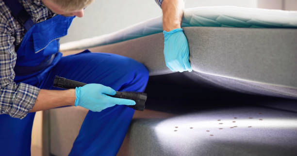 Best Affordable Pest Control Services  in Sanger, TX