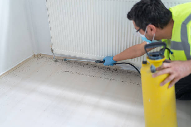 Best Affordable Pest Control Services  in Sanger, TX