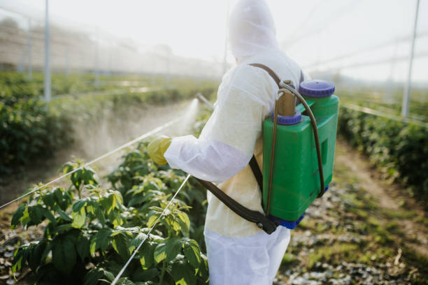 Best Pest Control Near Me  in Sanger, TX